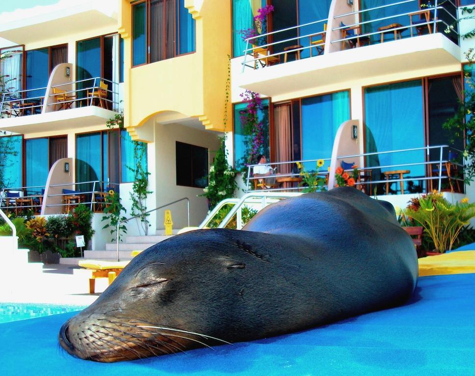 Hotel Solymar Puerto Ayora  Dış mekan fotoğraf